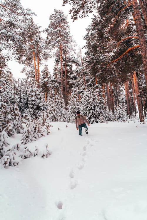 Person Walking on Snow Covered Ground