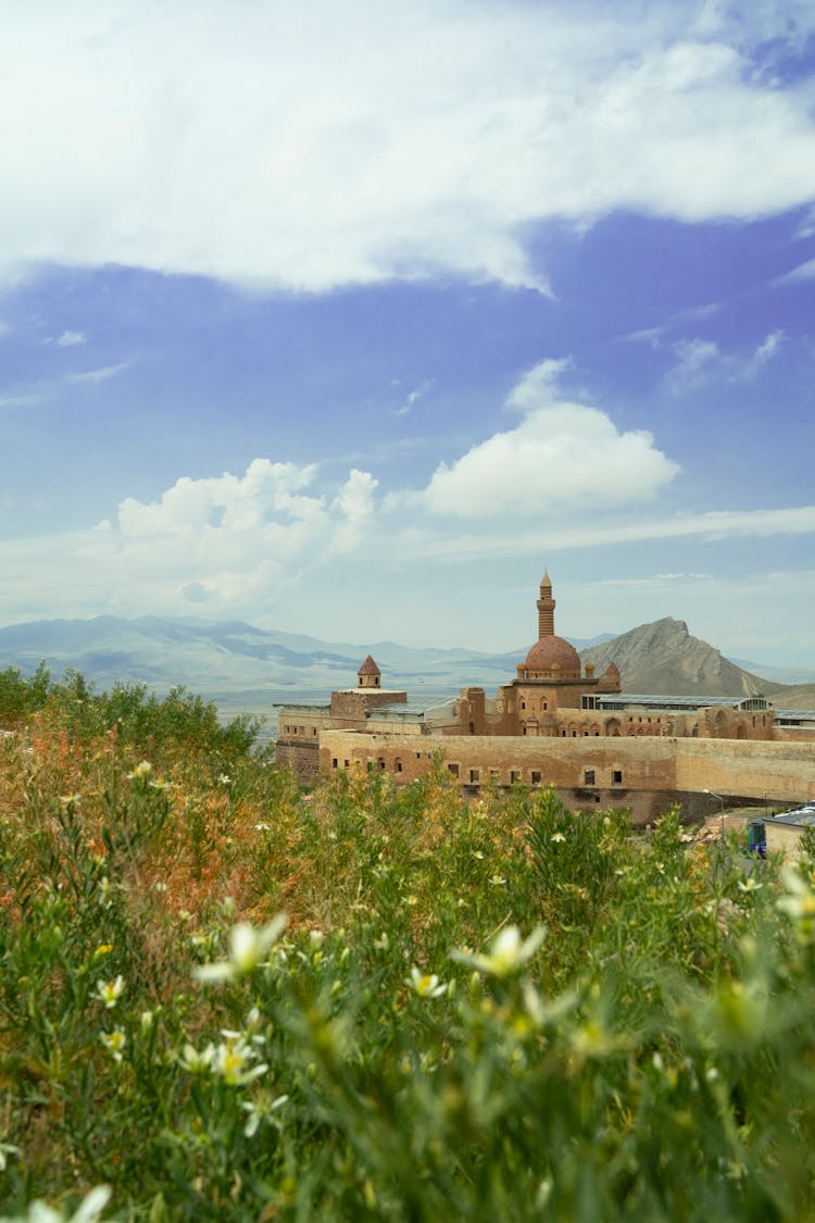 Flowers On A Hill With A Palace In The Distance 