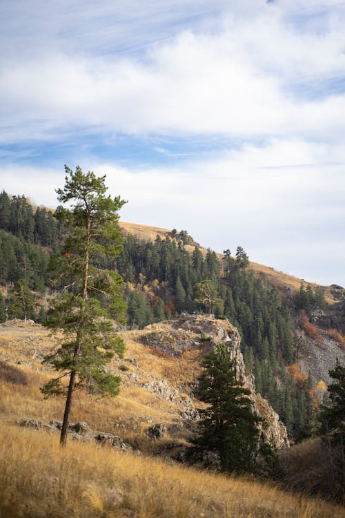 丘, 垂直ショット, 岩石層の無料の写真素材