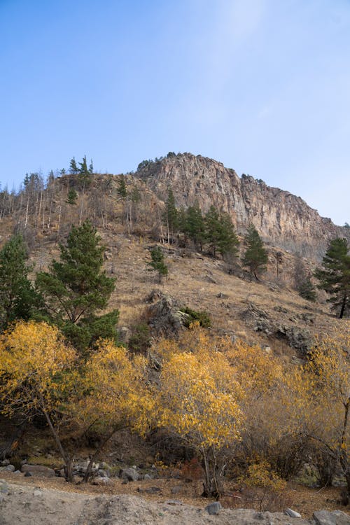 垂直ショット, 山, 岩山の無料の写真素材