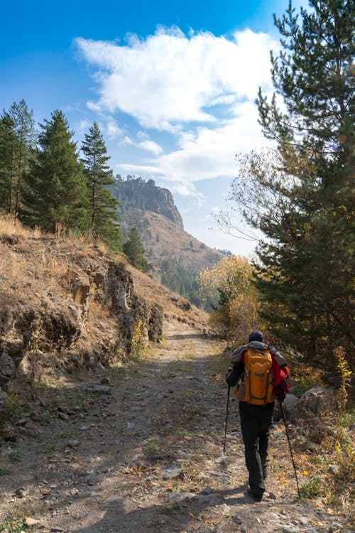 Photos gratuites de aventure, bâtons de randonnée, chemin