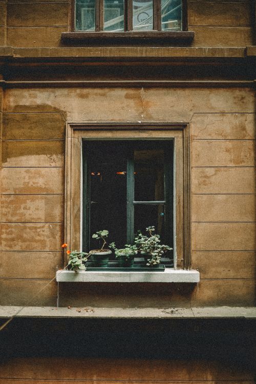 Free Aged brown stoned building facade with green plants in pots on sill of window Stock Photo