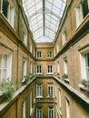 Glass roof covering inner well yard of aged building with plants on windowsills