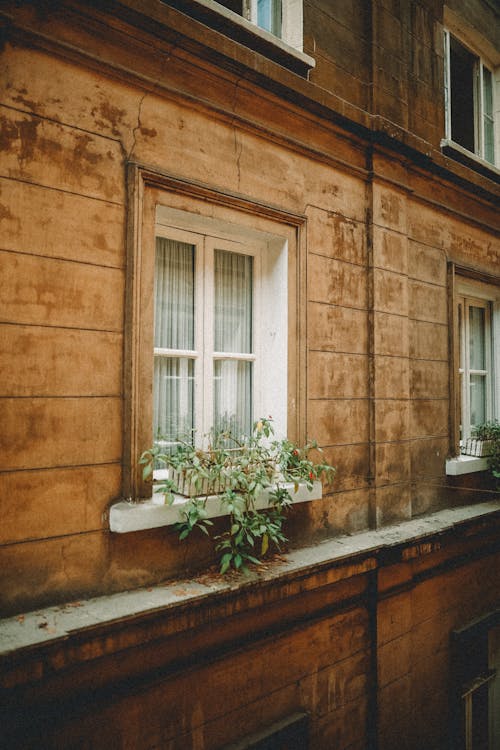 Old residential house with flowerpots on window