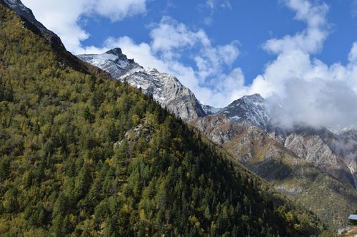 Free Breathtaking view of mountains and forest in Chitkul, Himachal Pradesh under a clear blue sky. Stock Photo