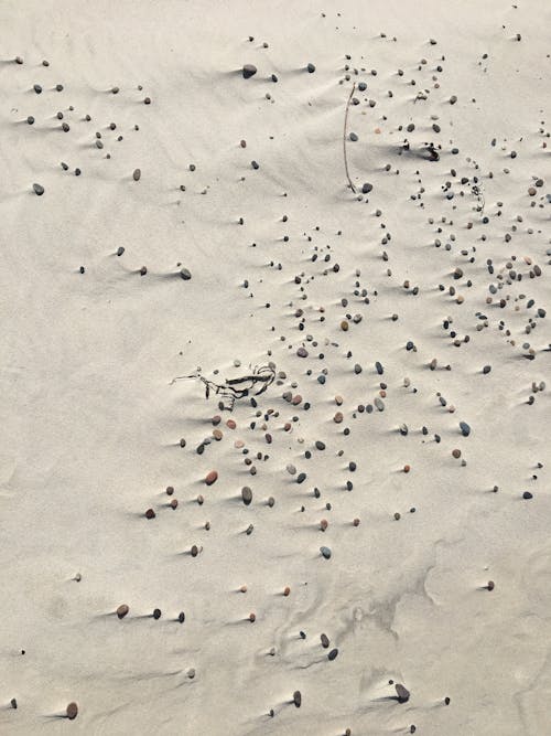 Foto profissional grátis de costa, natureza-morta, pedrinhas