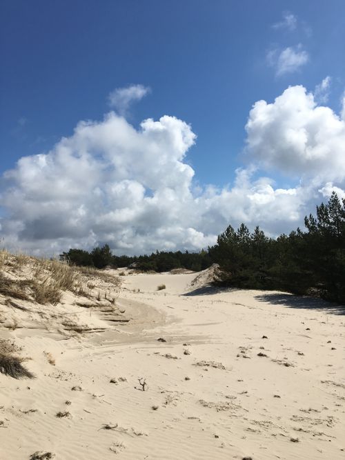 Free Beautiful white sand dunes under a bright blue sky in Łeba, Poland, showcasing natural beauty. Stock Photo
