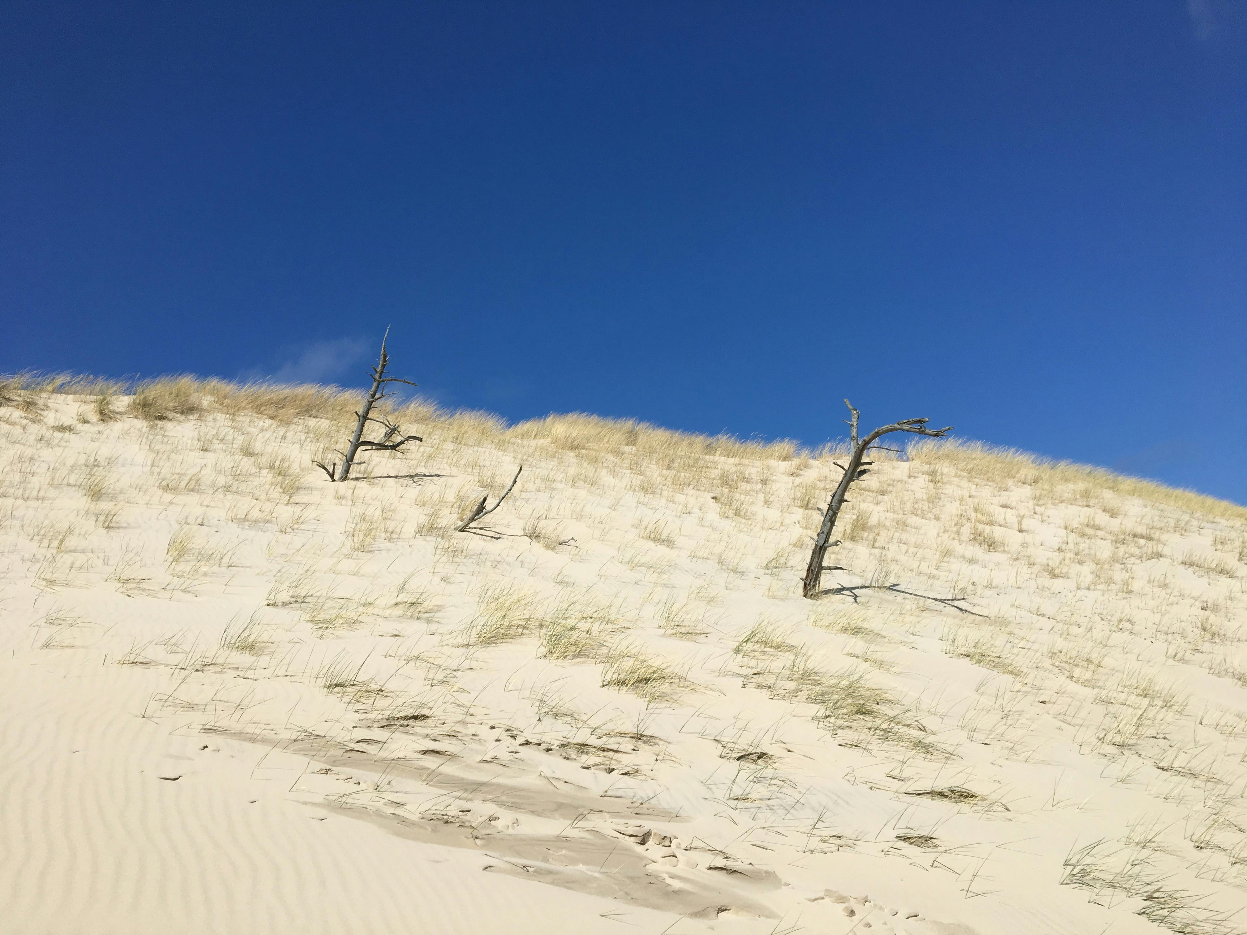 100.000+ melhores imagens de Areia Movediça · Download 100% grátis · Fotos  profissionais do Pexels