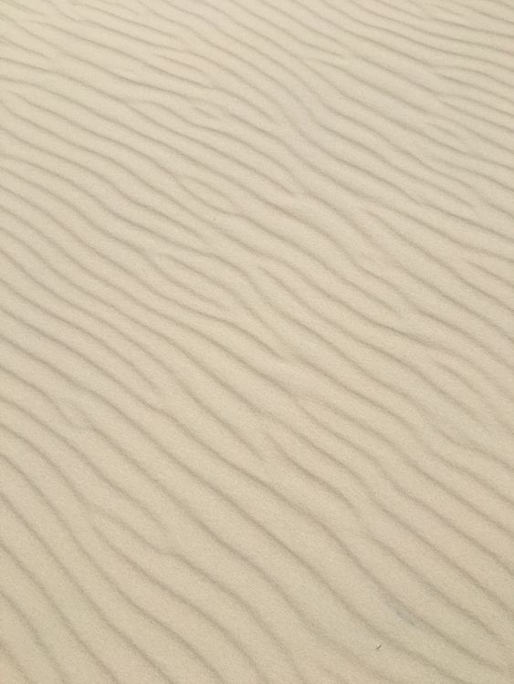 Pattern on Sand · Free Stock Photo