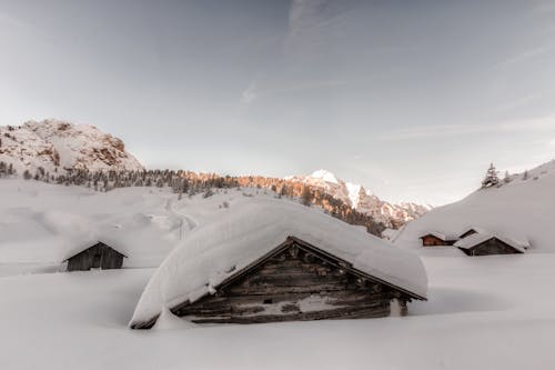 Kostenlos Braune Holzhäuser, Die Tagsüber Mit Schnee Bedeckt Sind Stock-Foto