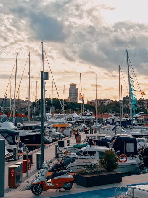 View of a Harbor