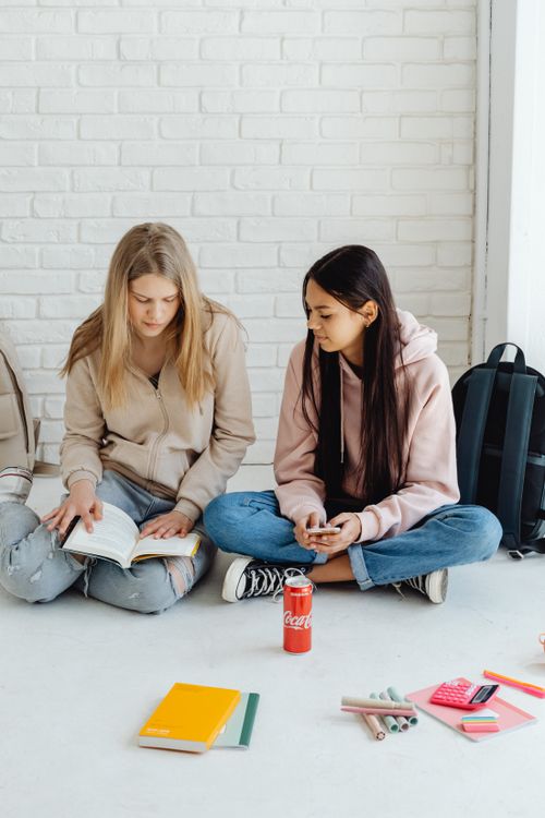 Free Two teenagers studying indoors with books and stationery on a white brick background. Stock Photo