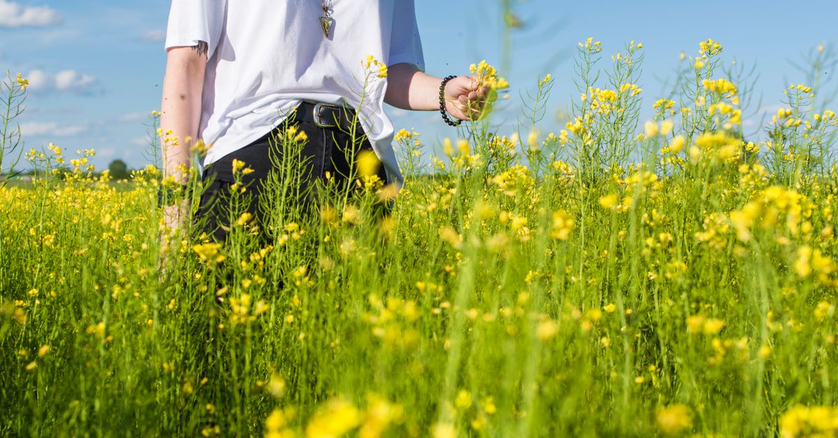 Person Ina Feild Person Standing on Field · Free Stock Photo