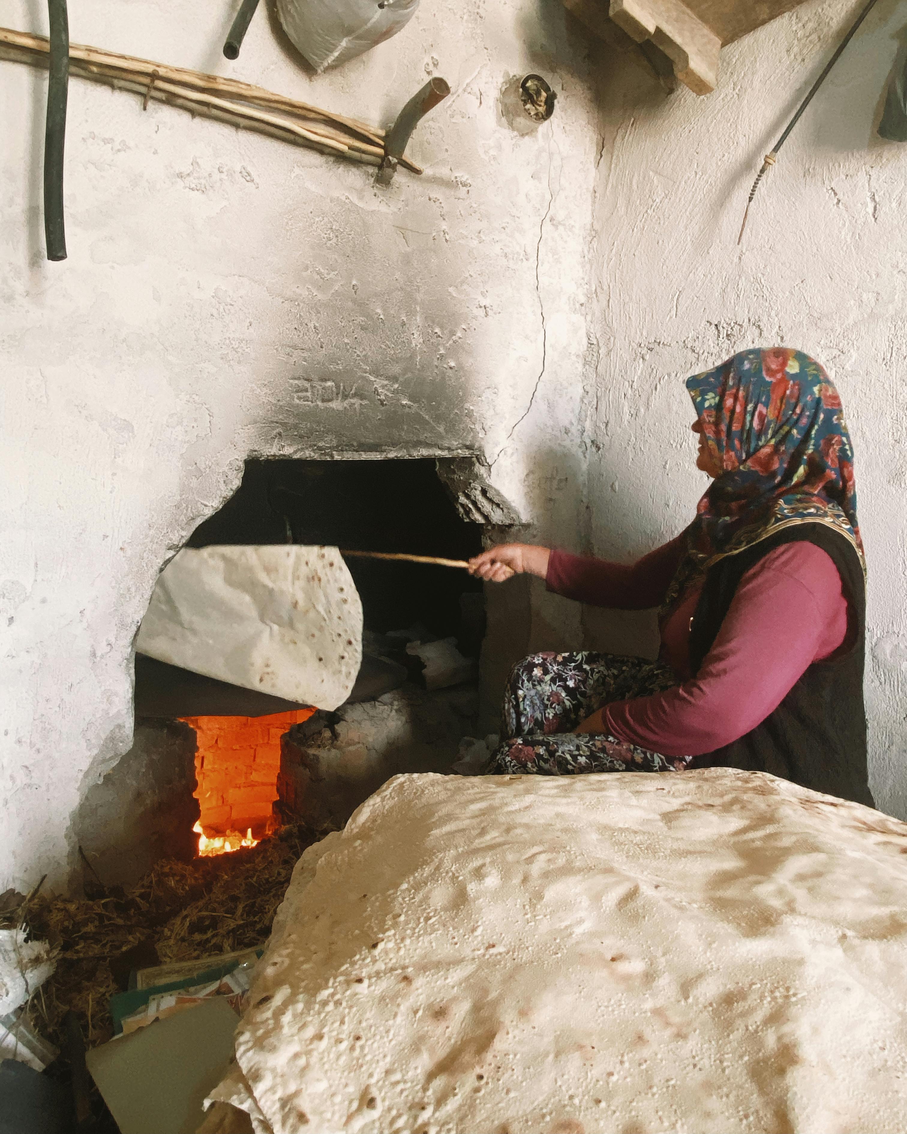 Crop unrecognizable person working on laptop with dog near in light room