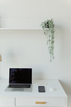 A clean, minimalist workspace featuring a laptop, smartphone, and houseplant on a white desk.