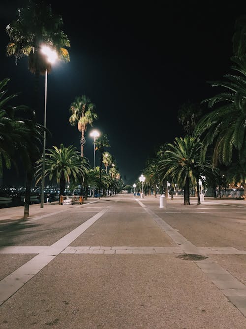 Immagine gratuita di cielo notturno, città di notte, lampioni