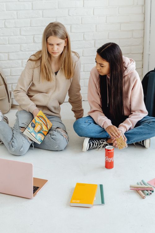 Free Two young women in hoodies are studying together with laptops and books in a cozy indoor setting. Stock Photo