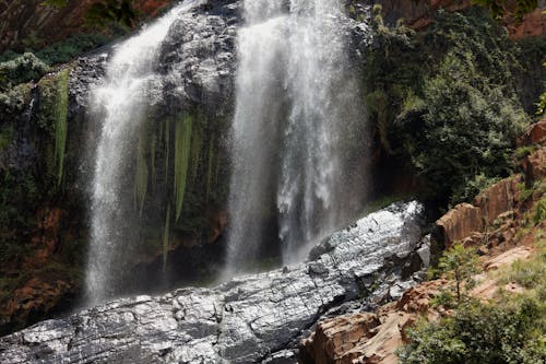 Foto d'estoc gratuïta de aigua, arbres, cascada