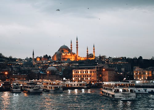 boğaziçi boğazı, hindi, İstanbul içeren Ücretsiz stok fotoğraf