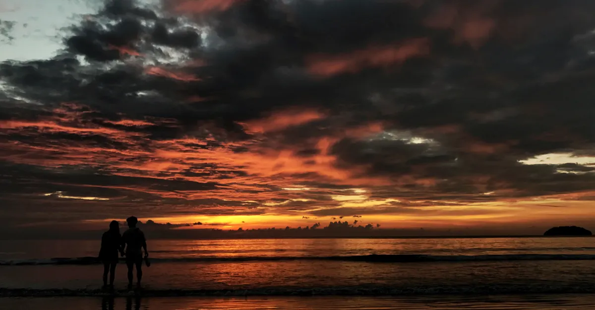 Coucher de soleil doré sur la plage de Tanjung Aru avec des cocotiers et des rochers en premier plan, Kota Kinabalu