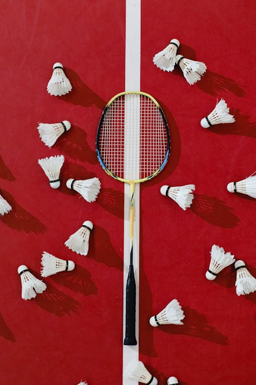 Badminton Racket and Shuttlecocks on the Court 