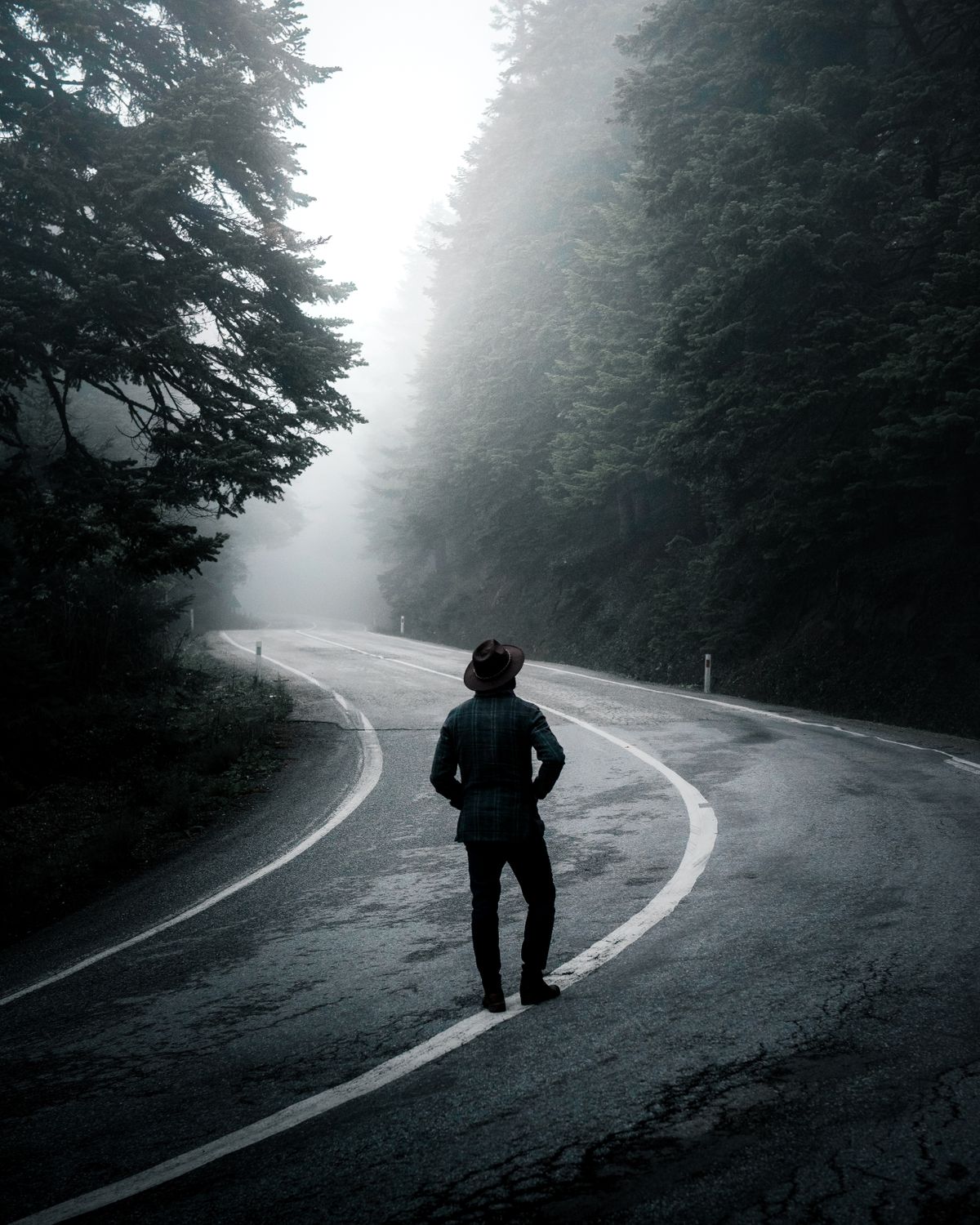 A figure on a foggy forest road