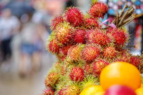 คลังภาพถ่ายฟรี ของ ผลไม้ rambutan