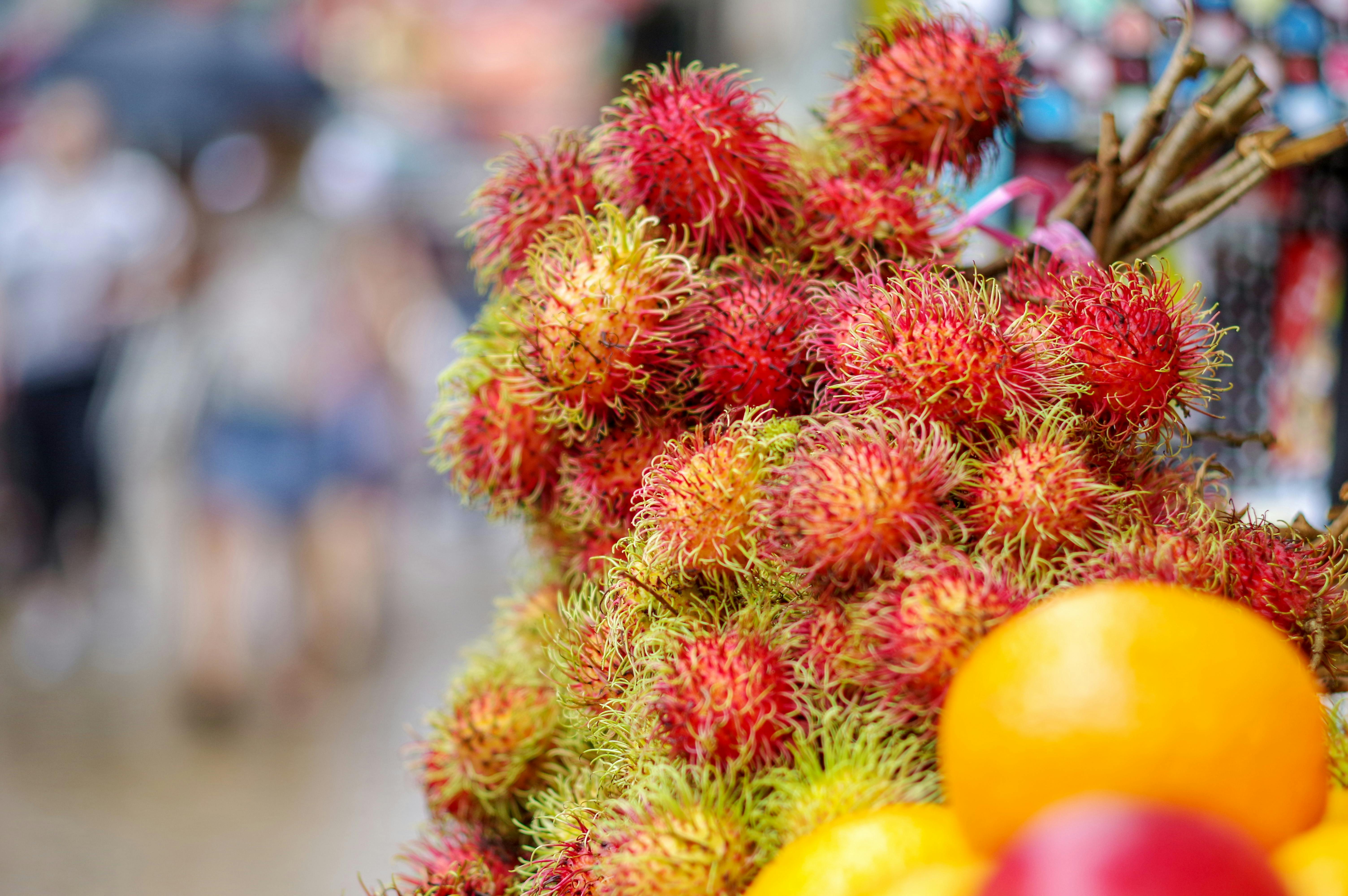 Foto Stok Gratis Tentang Buah Rambutan