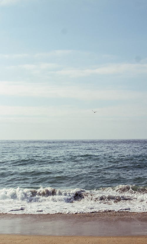Foto d'estoc gratuïta de a la platja, Escuma de mar, mar