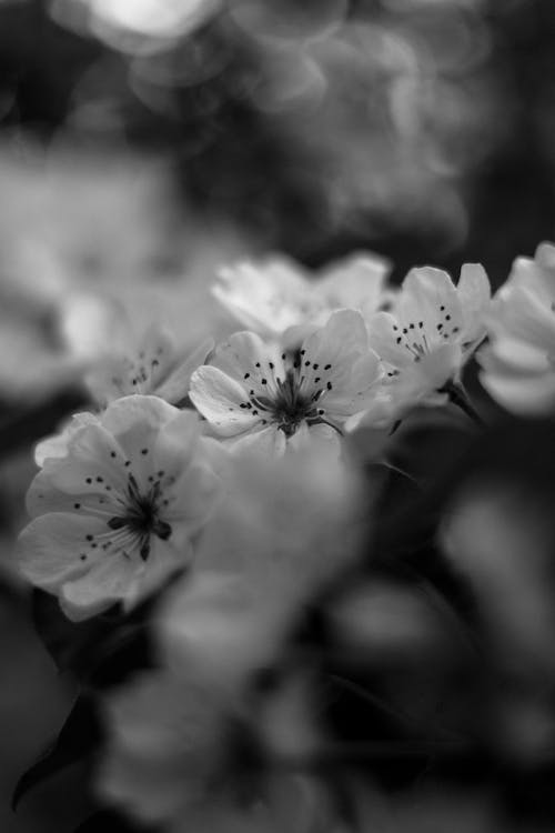 Valeriia Miller 写真 Valeriia Miller 写真