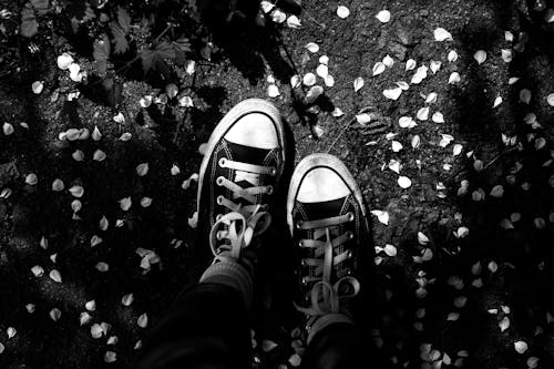 bezplatná Základová fotografie zdarma na téma boty, černobílý, chodidla Základová fotografie