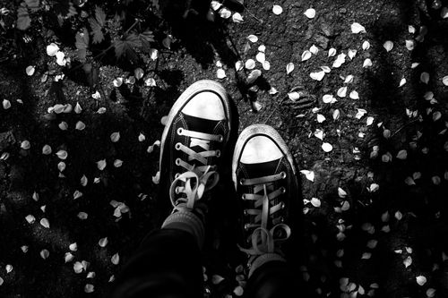 Free Black and white image of sneakers on a petal-strewn path, creating a nostalgic feel. Stock Photo