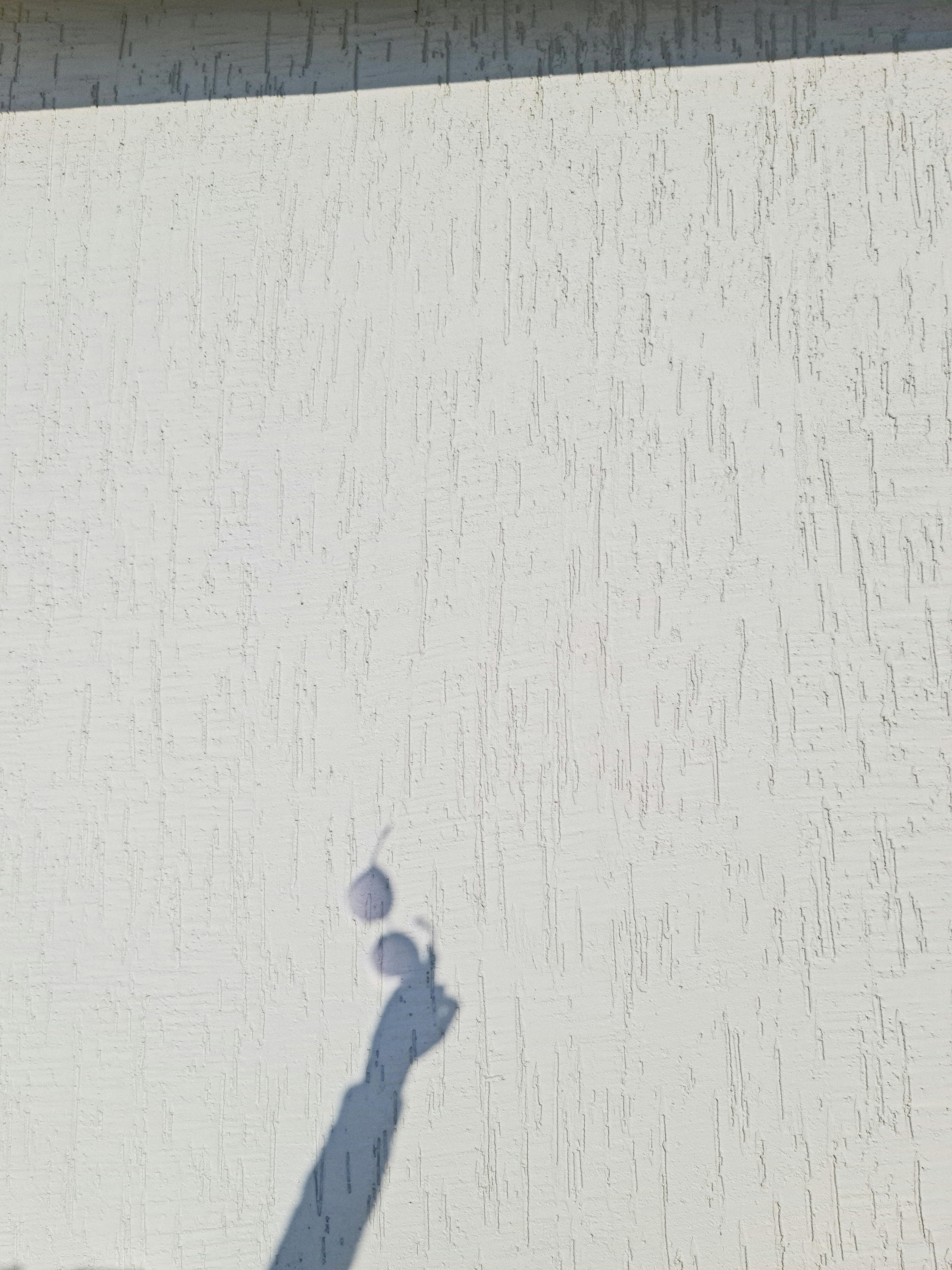 ฟรี คลังภาพถ่ายฟรี ของ กระจัดกระจาย, กลางแจ้ง, กิริยาท่าทาง คลังภาพถ่าย