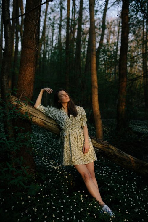 Free A woman in a floral dress leans against a tree log in a tranquil forest, bathed in warm light. Stock Photo