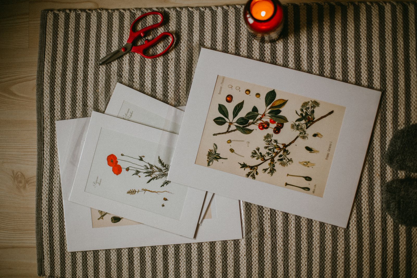 Botanical art prints laid out on a woven mat — Anna Alexes on Pexels
