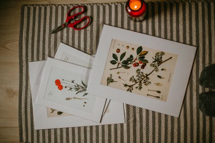 Mounted botanical prints on a woven mat — photo by Anna Alexes on Pexels