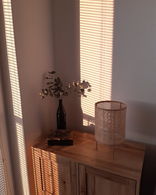 Rustic Electric Lamp and Plant on Bottle