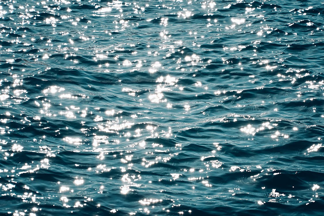 Photo of Sunlight Reflecting on a Body of Water