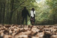 Back View of a Couple Holding Hands in the Woods