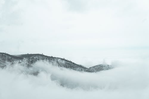 天性, 雲海, 黑與白 的 免费素材图片
