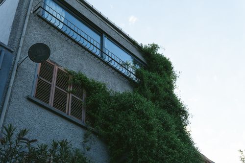 Free Low angle view of a residential building in Istanbul with lush green foliage covering the exterior. Stock Photo