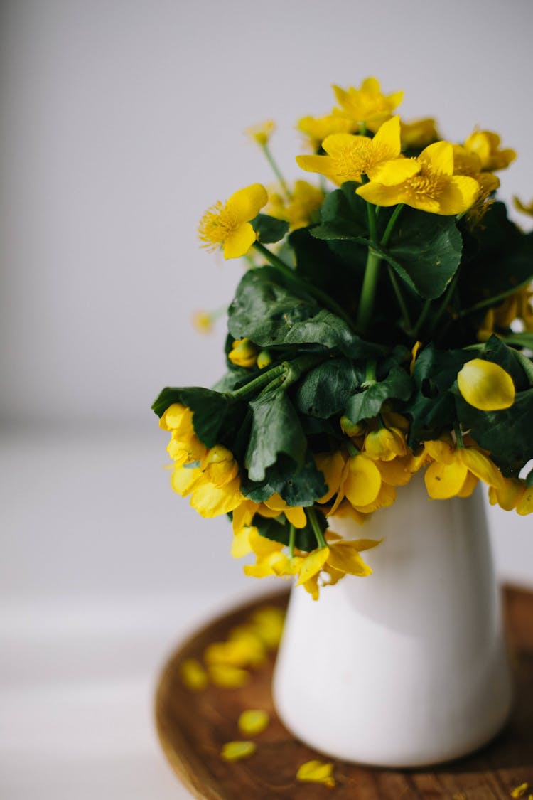 Blooming Marsh Marigold Flowers