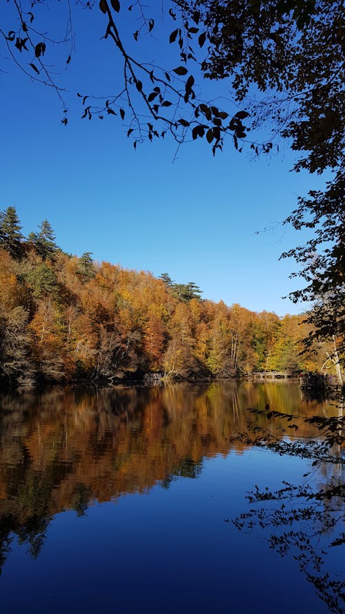 Free Scenic Shot of a Lake at Yedigöller National Park Stock Photo
