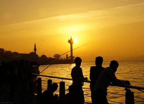 Silhouette of Men Fishing from a Bridge in Istanbul 