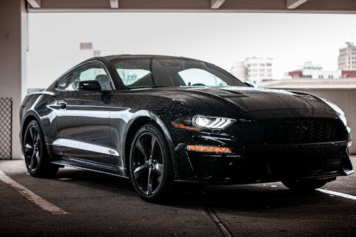 Black Ford Mustang in the Parking Lot