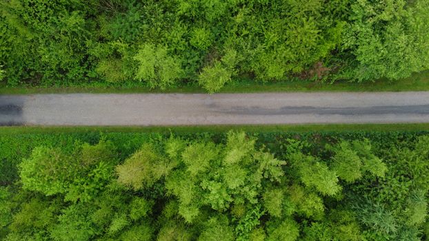 Aerial shot of a green forest road in Kjellerup, Denmark, showcasing lush nature.