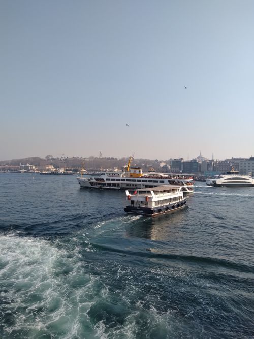 Free Ferries cruising on a bustling harbor with a city skyline in the backdrop, showcasing maritime transit. Stock Photo