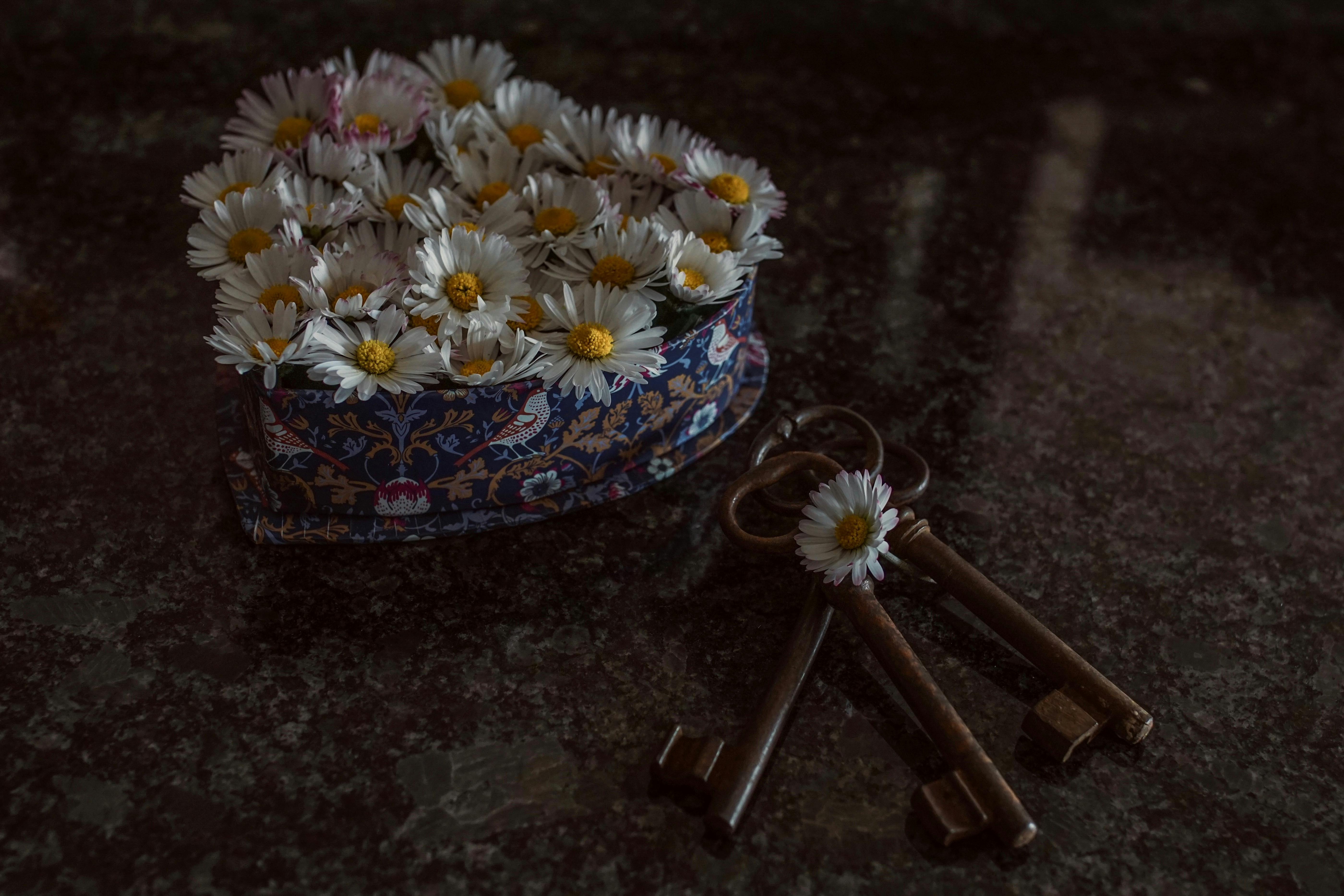 schlüsselkästen im aktuellen vergleich 03/2026 Fazit