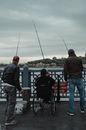 Back View Shot of Men Fishing in the River