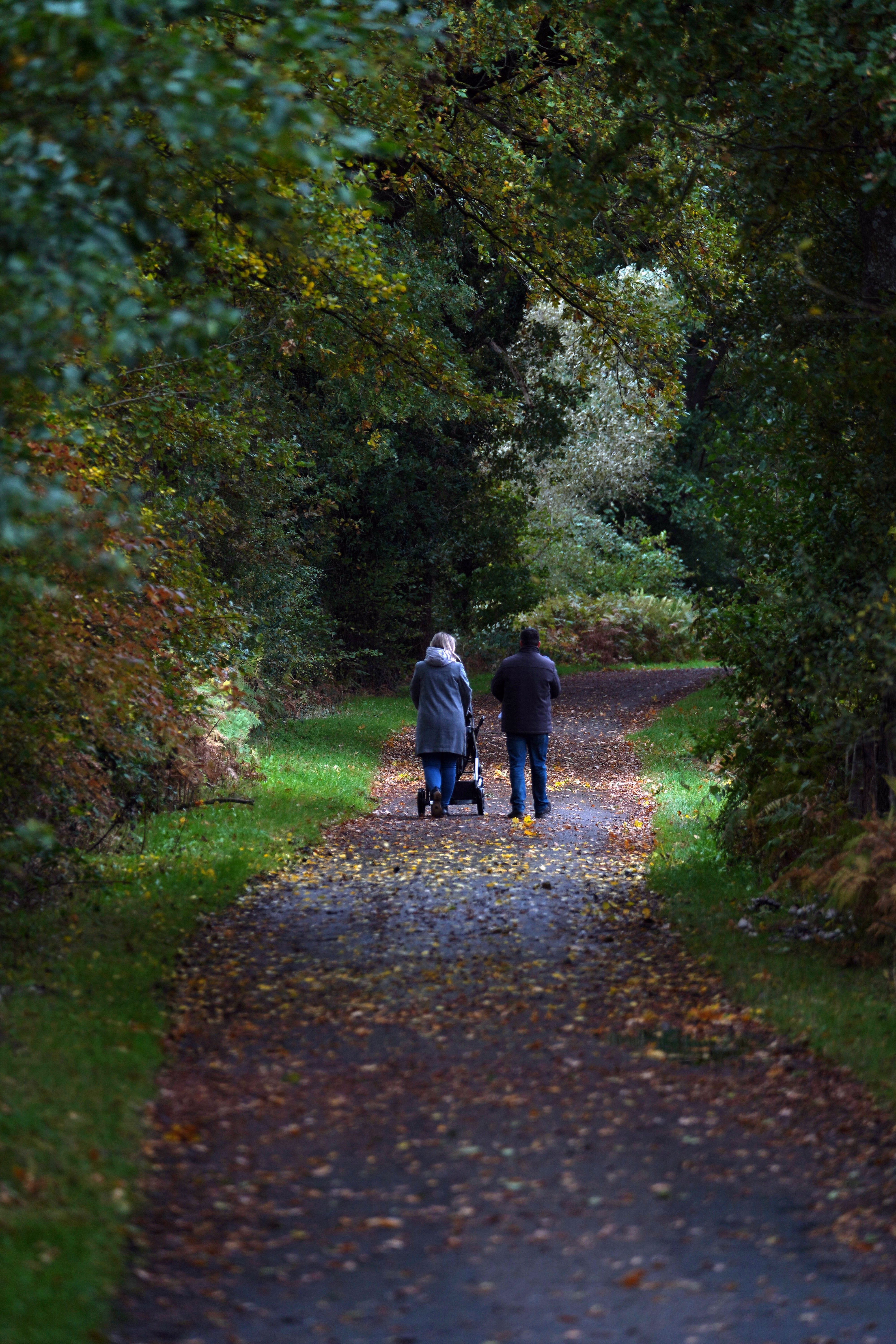 Back View of a Couple Walking Together · Free Stock Photo